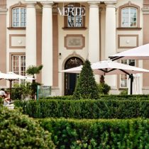 zieleń w mieście, zieleń, roślina, rośliny, krzewy, krzew, usługa ogrodnicza, rośliny w mieście, sadzenie roślin, sadzenie, projektowanie roślin, plac, plac narodowy, ginkgo, miłorząb, teatr studio, trawy, jesień w mieście, jesień, teatr, teatr narodowy